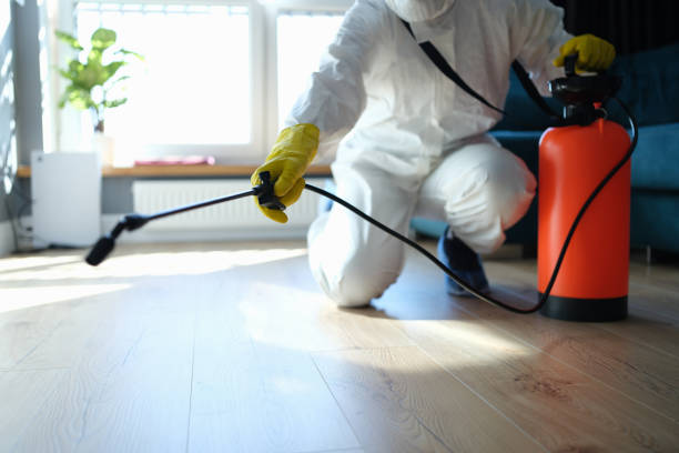 Reliable Odor Removal contractor in Foresthill, CA by Dulley Family Biohazard Services